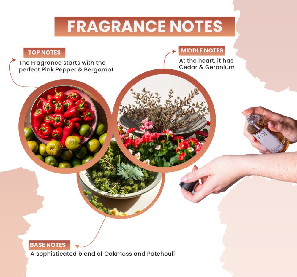 KDJ Inspired – Acqua Di Parma Inspired Collection – Notes Similar to The Colonia Quercia – Men’s - Image 2