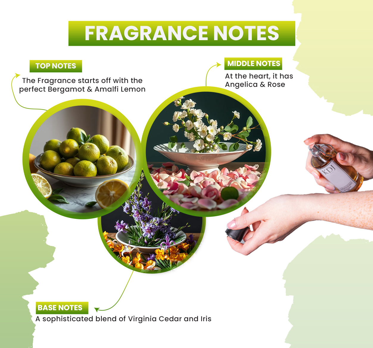 Gucci Envy Perfume Notes Envy Perfume By Gucci Discount