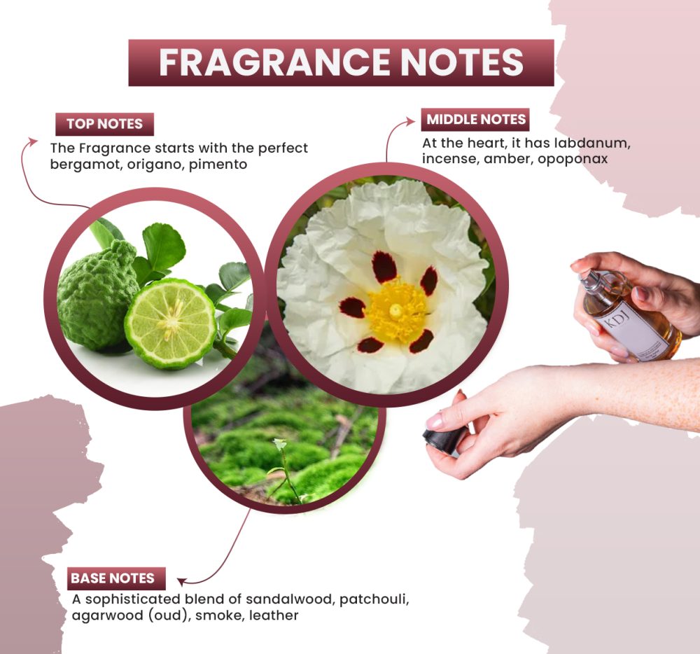 KDJ Inspired – Amouage Inspired Collection – Notes Similar to Interlude 53 – Unisex - Image 2