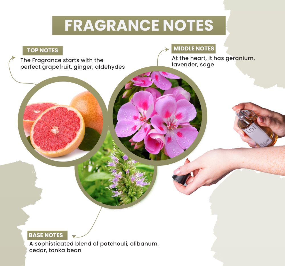 KDJ Inspired – YSL Inspired Collection – Notes Similar to Y Le Parfum – Men’s - Image 2