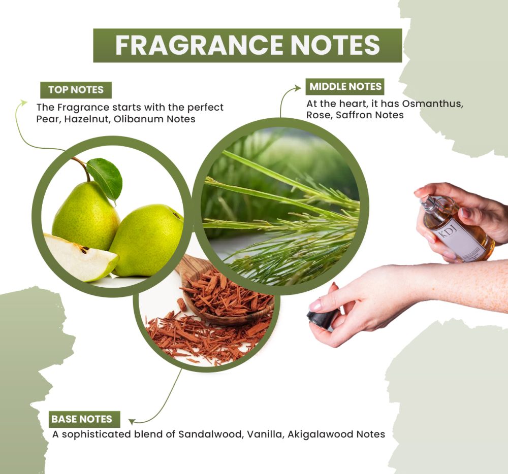 KDJ Inspired - Amouage Inspired Collection – Notes Similar to Guidance - Unisex - Image 2