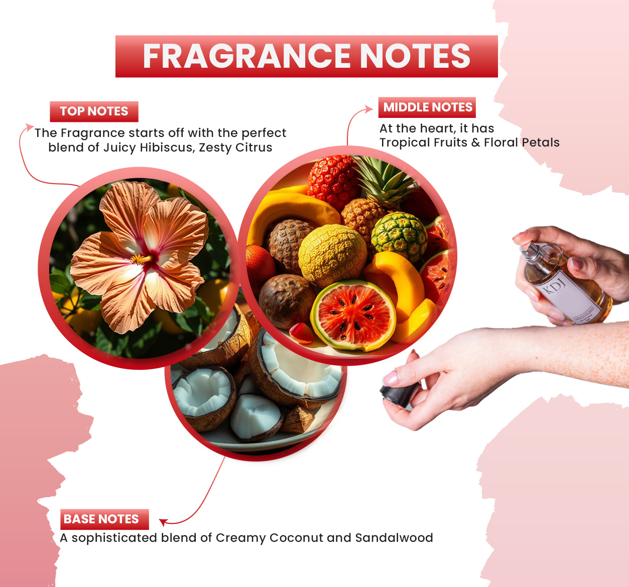 Mahajad Notes KDJ Inspired – Maison Crivelli Inspired Collection – Notes Similar to ...